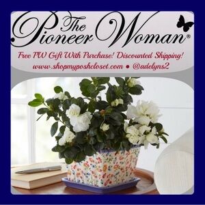 🌺 New Pioneer Woman Vintage Ditsy~ Berry Blue Basket Planter 6” Square Planter